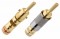 WBT Plug Topline 0600