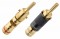 WBT Plug Midline 0644