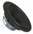 22 cm Bas 8 Ohm 38 mm VC