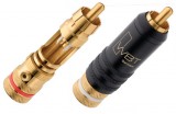 WBT RCA Midline 0144