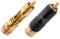 WBT RCA Midline 0144
