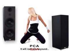 PCA GOA