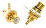   RCA/Phono Connector
