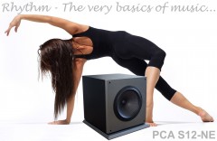 PCA S12-NE