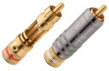 WBT RCA Topline 0101
