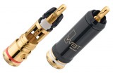 WBT RCA Nextgen. 0102 Cu 
