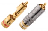 WBT RCA Topline 0108 