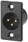 XLR male Chassis